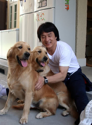 Jackie Chan mit Golden Retriever